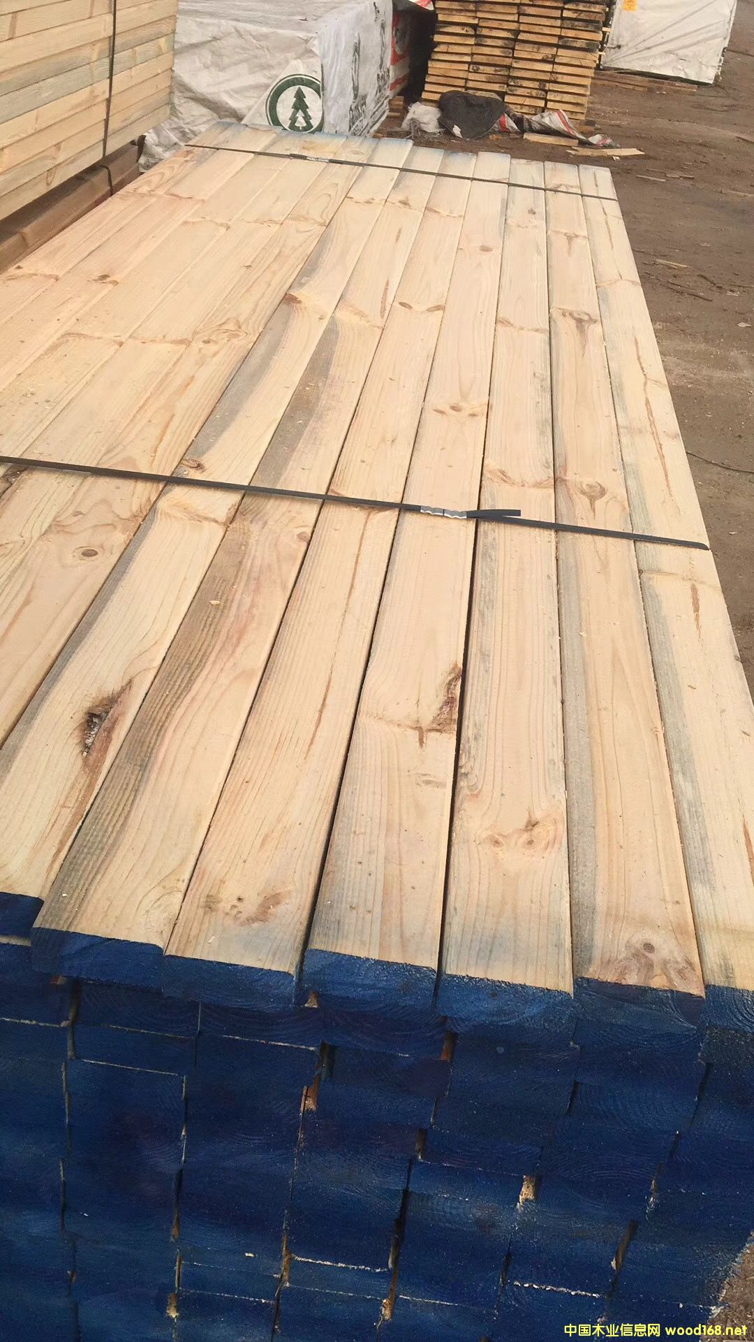 �S��ֱ�N������ľ������ľ��ľ��ӡ��Ž��ġ����b�ĵ�Ԕ����B