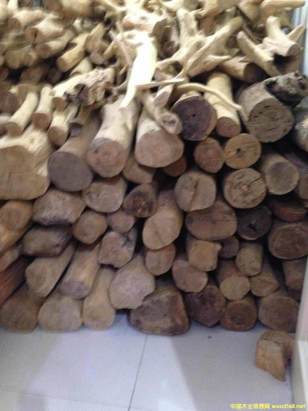 檀香木的詳細介紹