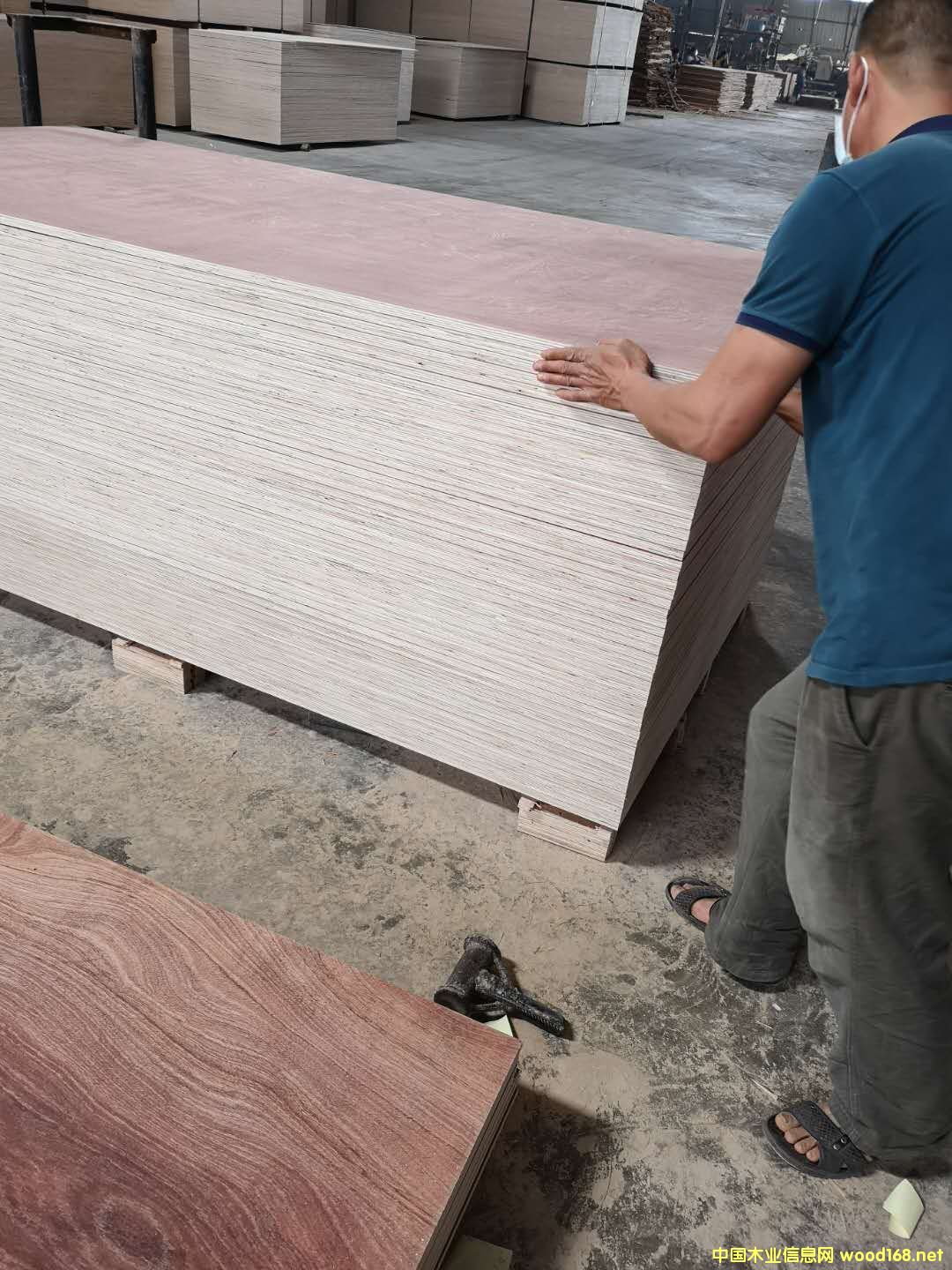 板材的詳細介紹