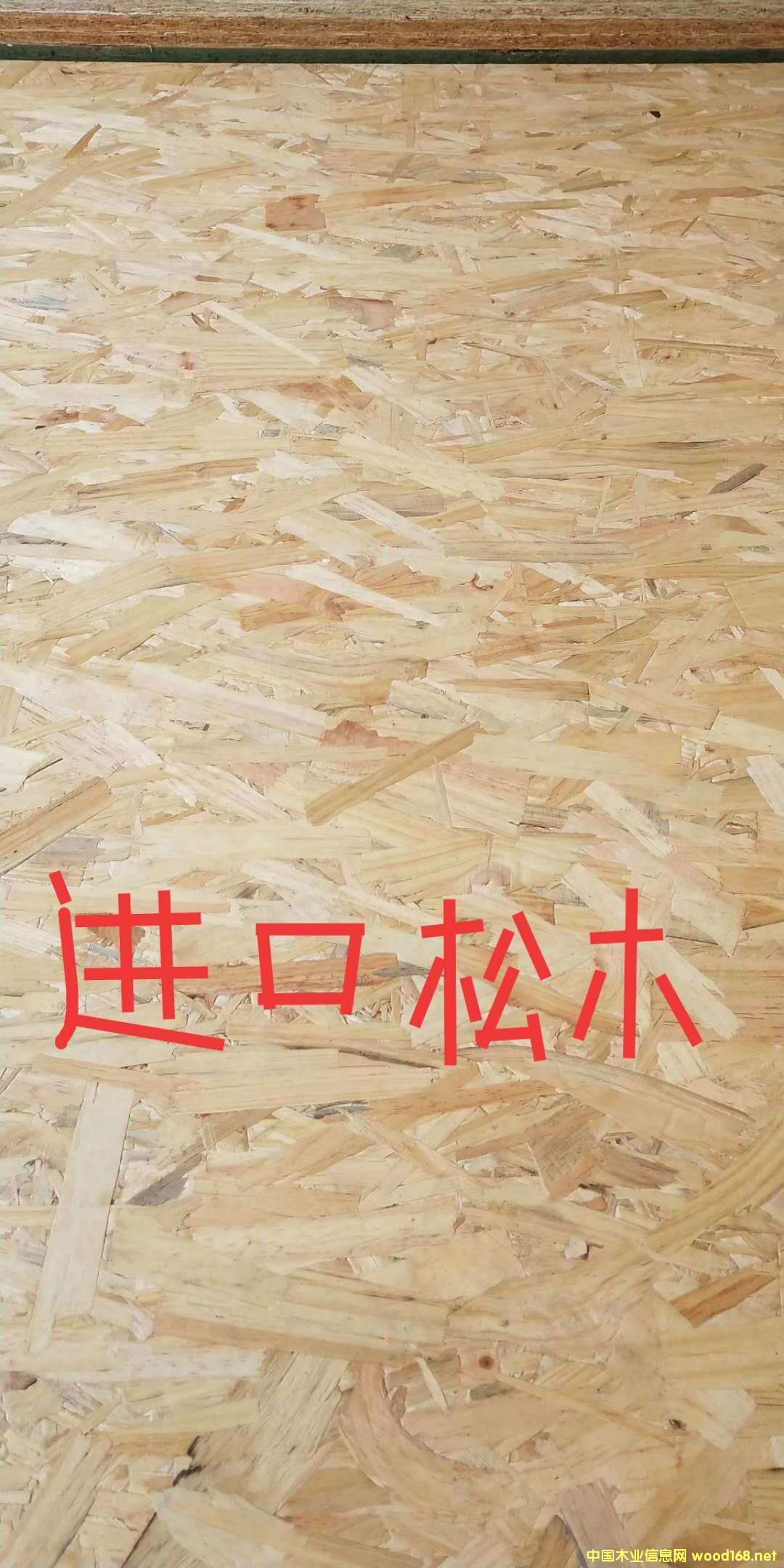 [��] �W�ɰ幤�S���I���aľ���p䓄e������OSB�W�ɰ�