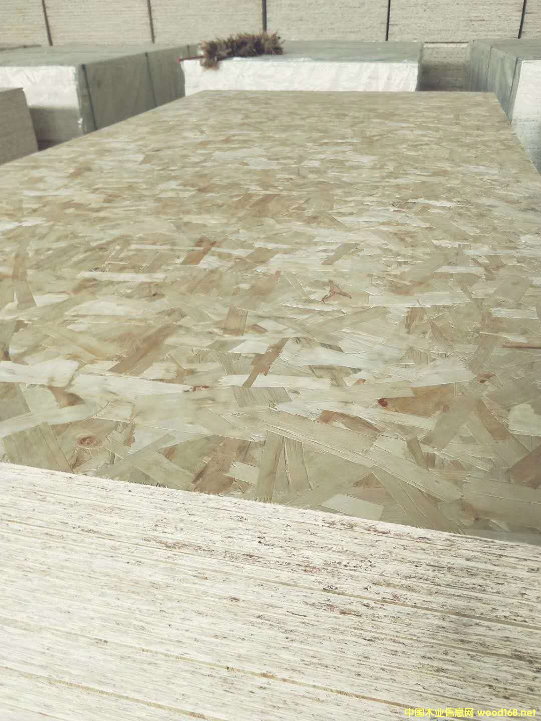 OSB����Y(ji��)��(g��u)�ٻ���