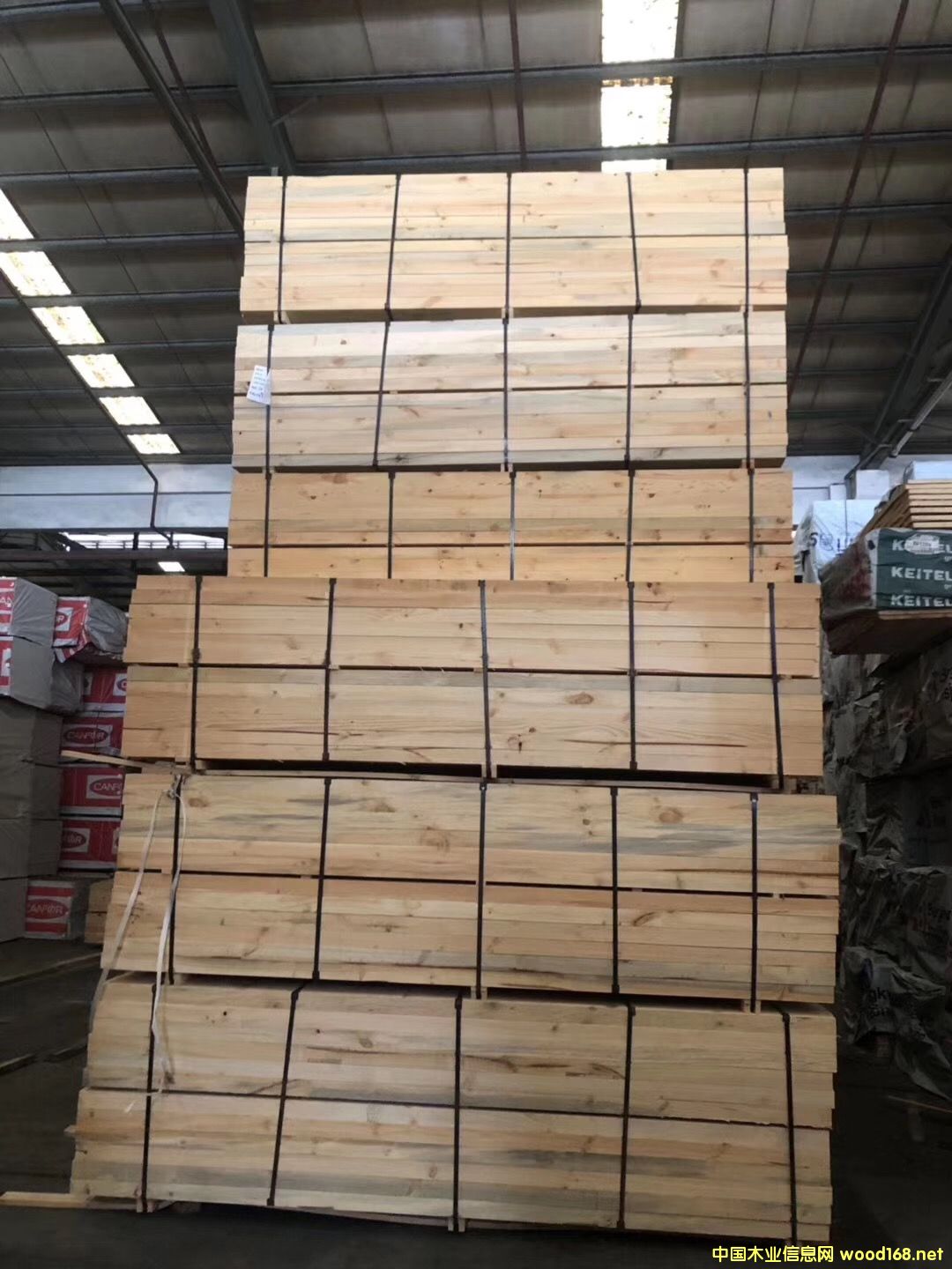 ����ݗ����