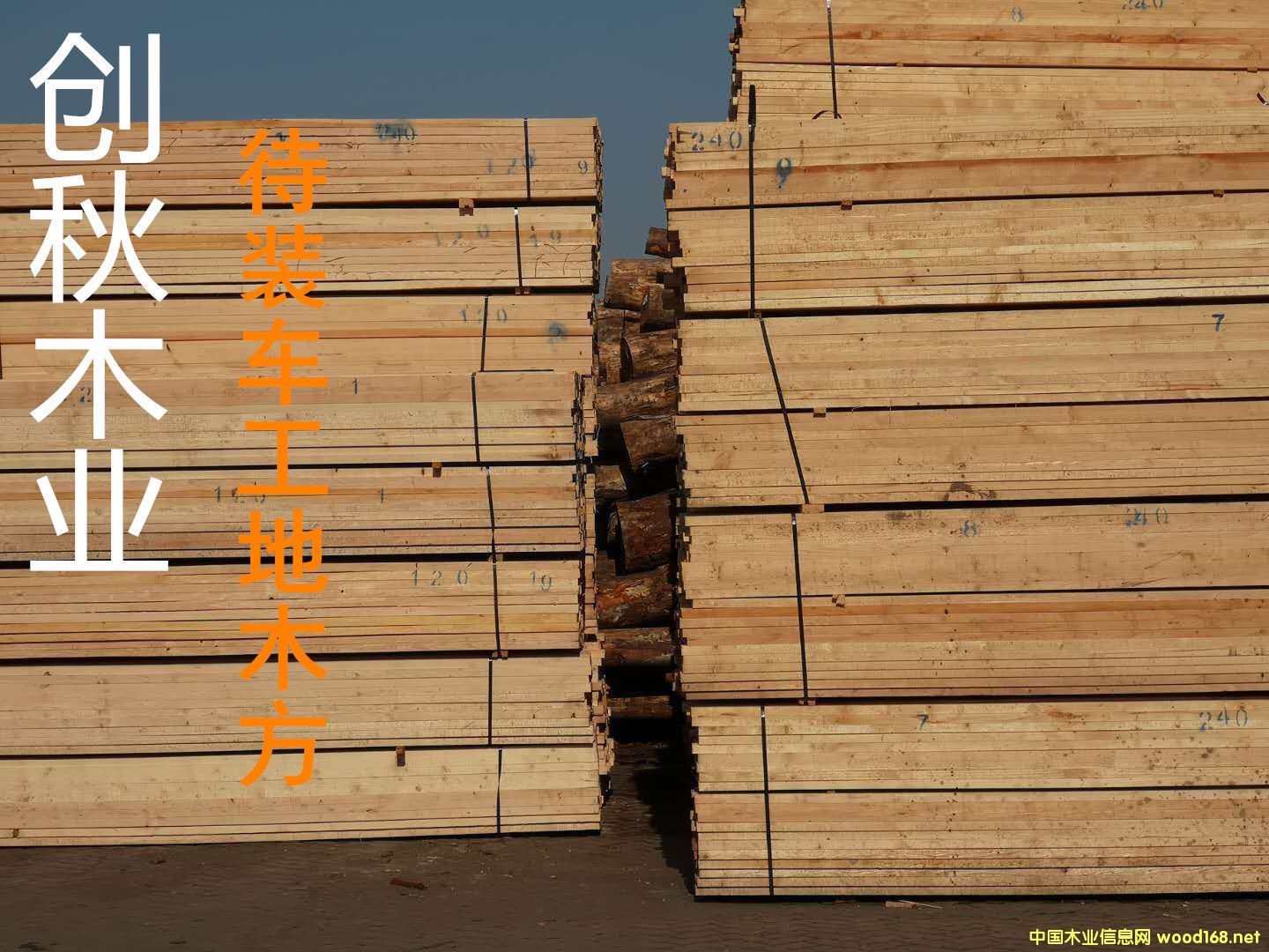 �c(di��n)���鿴����ľ���Ŵ�DƬ