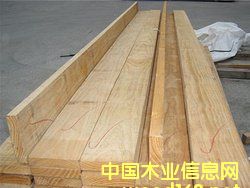 �c(di��n)���鿴����ľ���Ŵ�DƬ