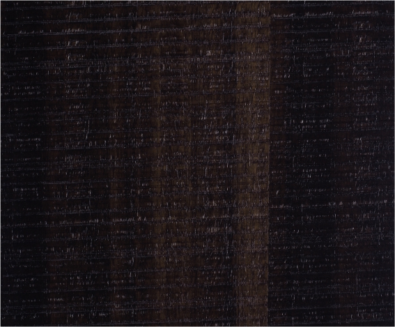 �ȼ�����X���zľ����