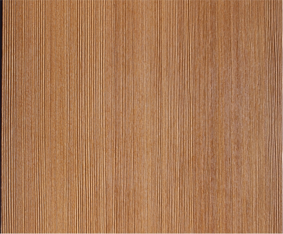 ��X�������ˢľ����