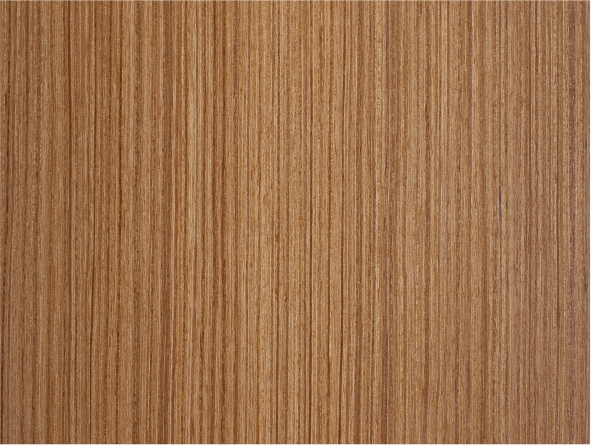 ̩��ľȫ�ݶ��ư�ĵ�Ԕ����B