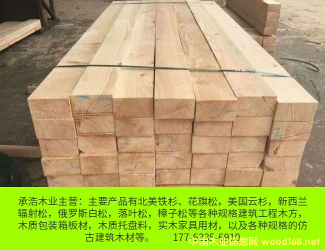 ����ľ��