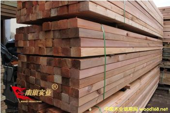 �����tѩ�ɏS��   �tѩ�ɰ�ăr(ji��)��