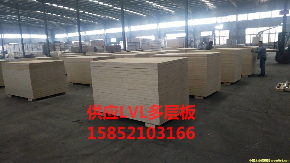 �������ɳ�l��