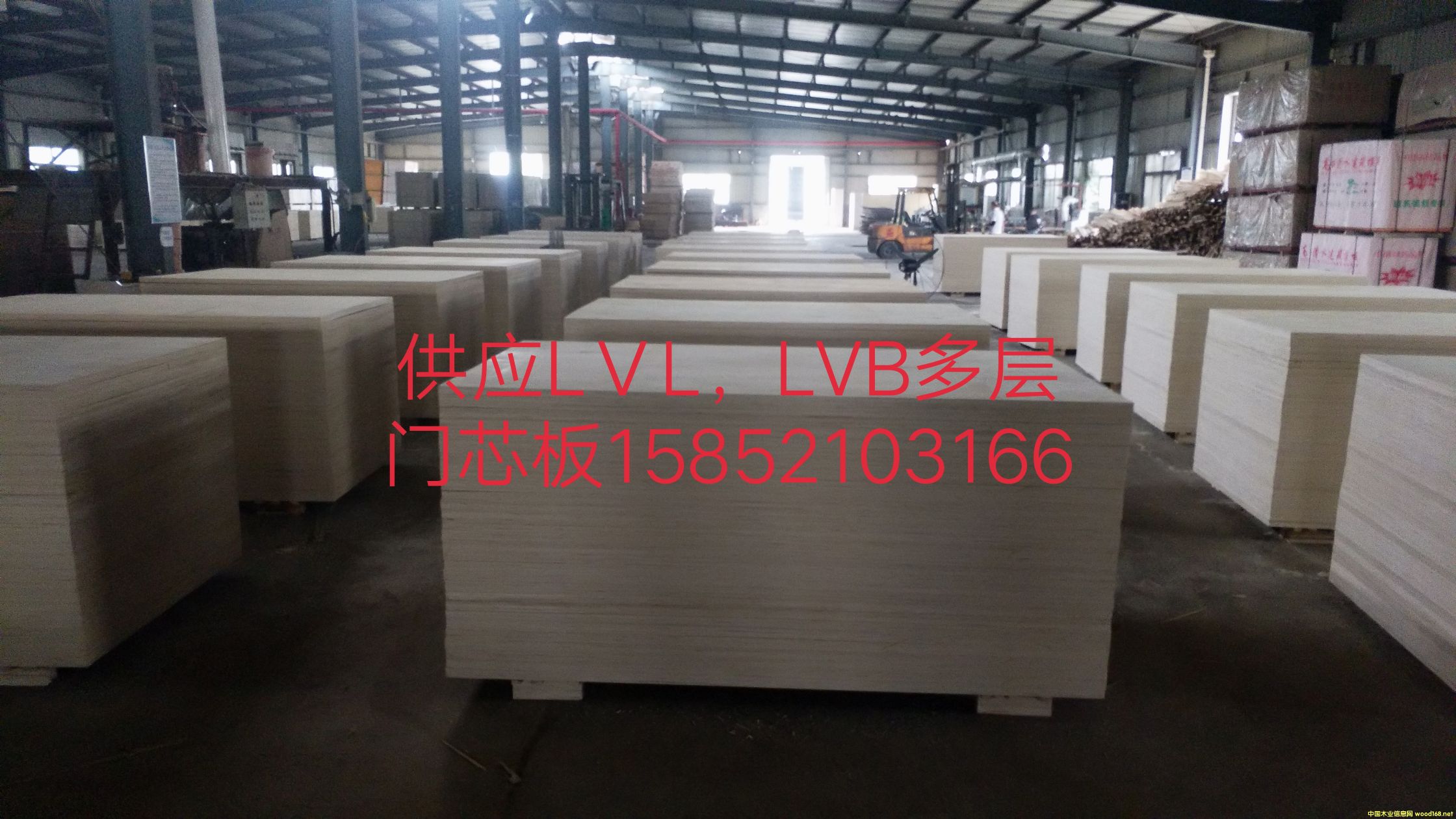 �������ɳ�l��