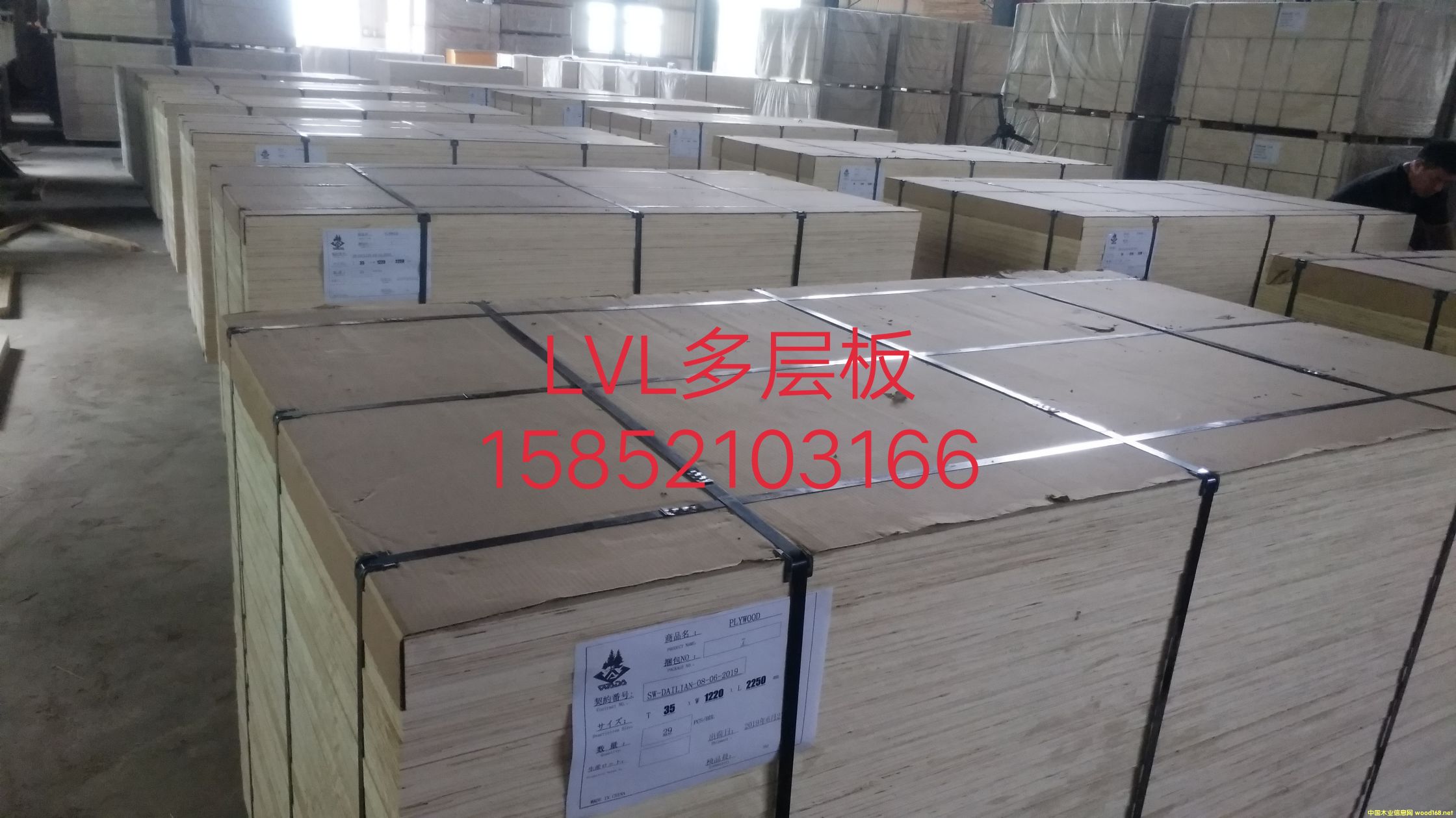 [��] LVB�����T(m��n)о��