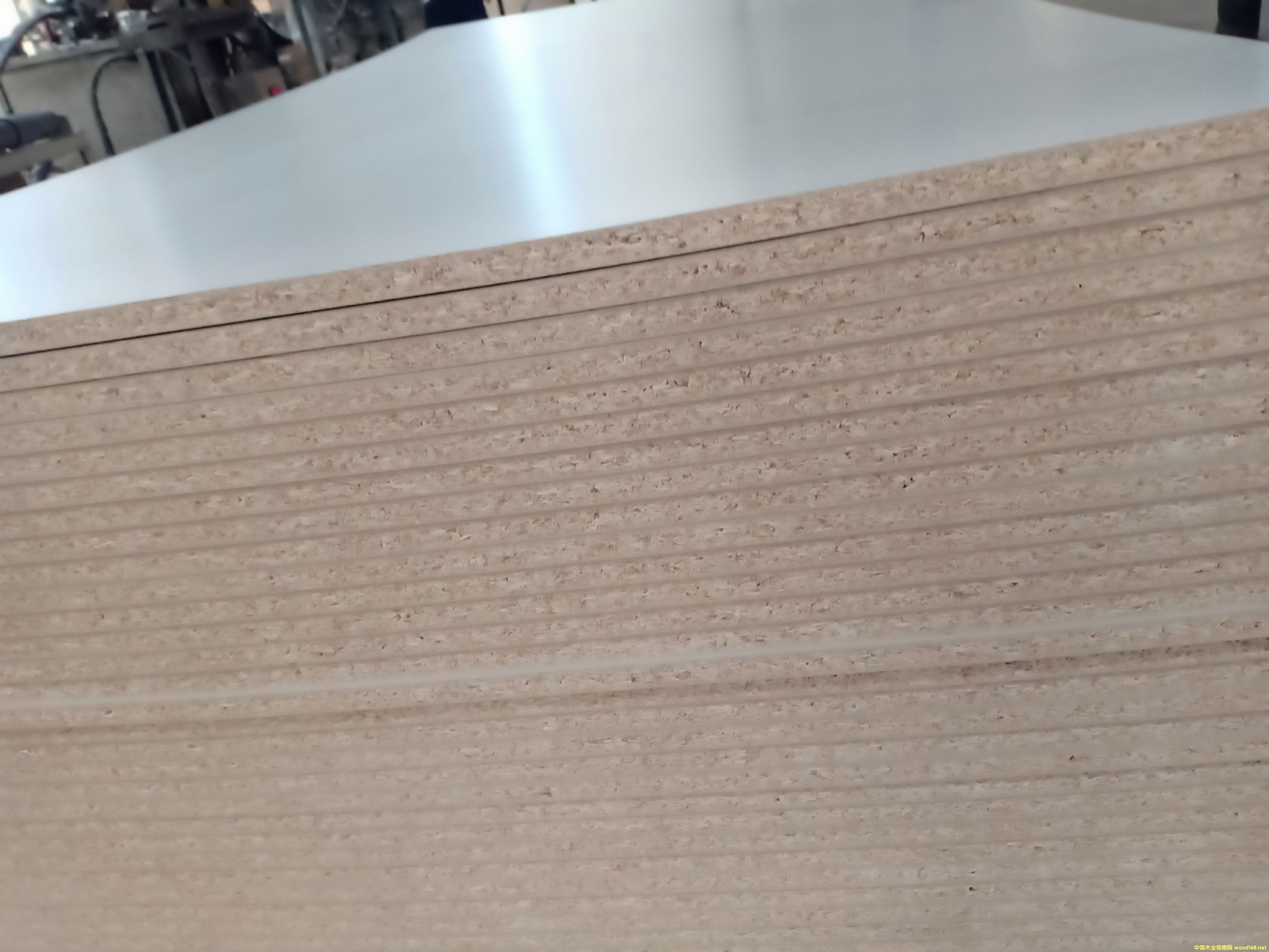 �w�����B(t��i)��