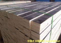 ���b�ô�ᔵĶ��Ӱ���z�ϰ�|�ȗl��ľ��