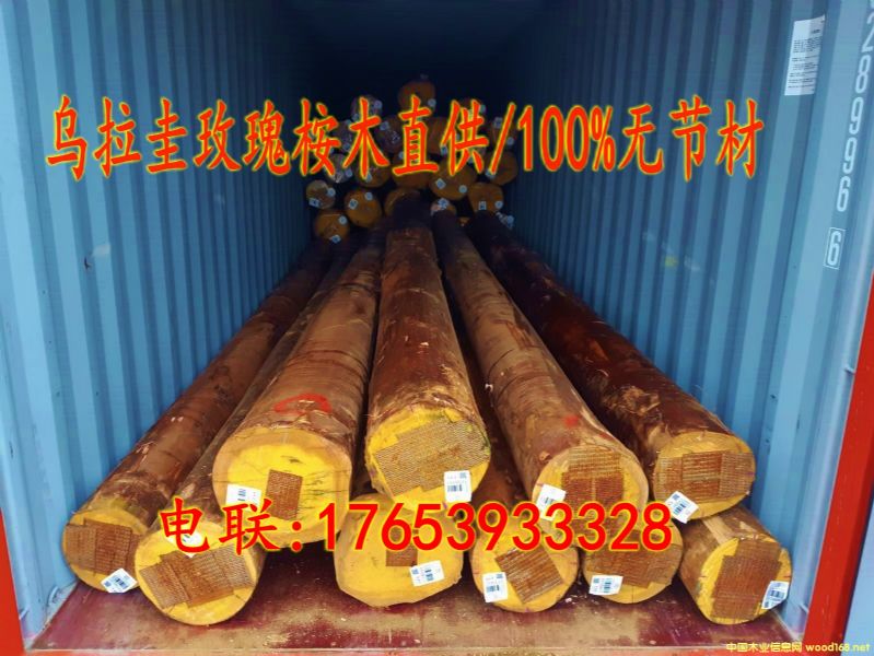 �����M�ڟo��(ji��)��õ����ľԭľ