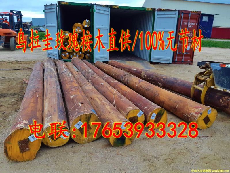 �M��õ����ľԭľ/100%�o����