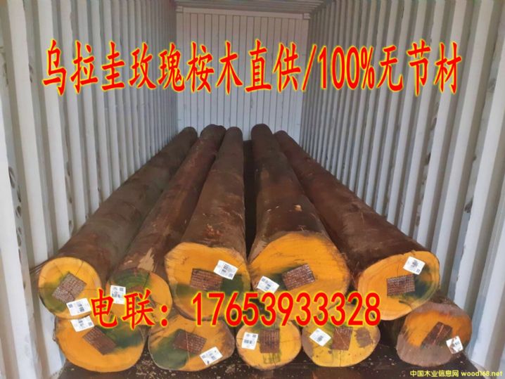 �M�ڞ�������ľԭľ/�o�Y��