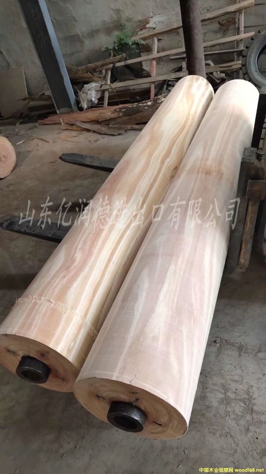 �����M����֦��õ����ľԭľ