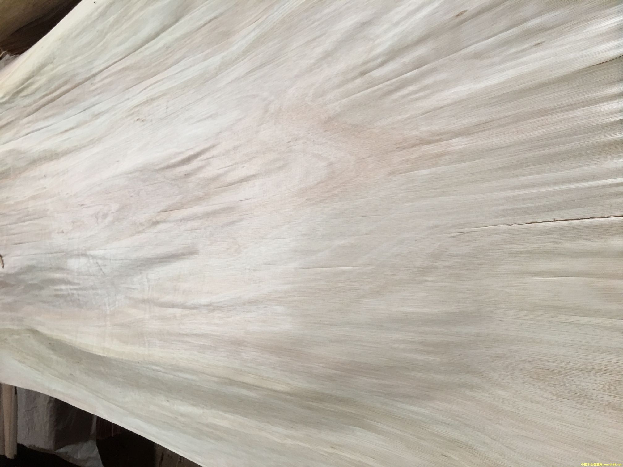 ��������ľ���a��Ƥ�������ʸ�