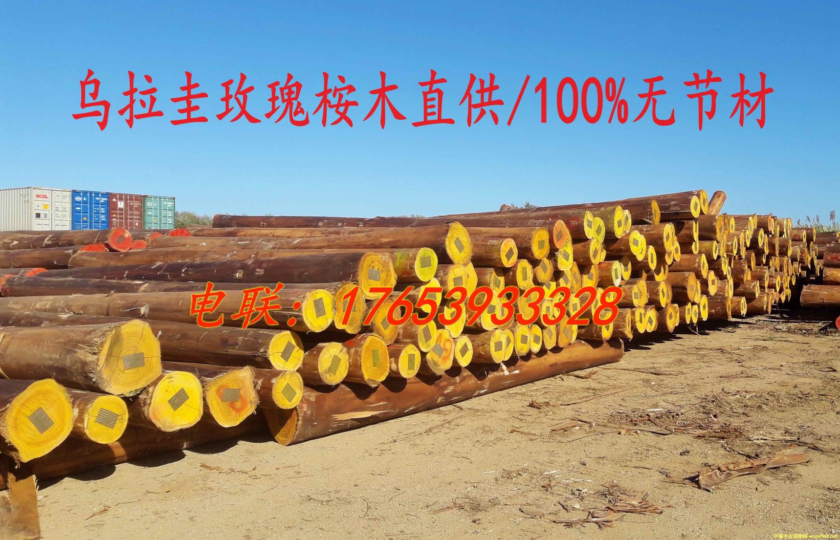 ��������ľԭľ/�o����