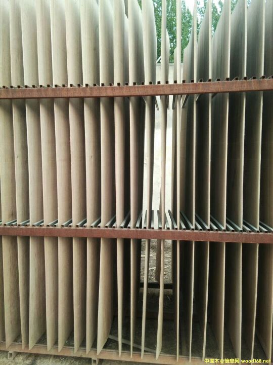 �͇���о��Ԕ����B