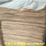 ��ľƤ�ӵ�Ԕ����B