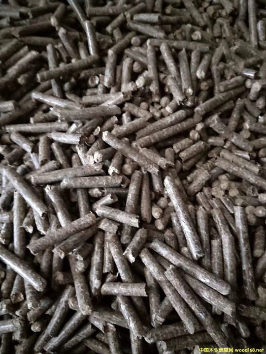 �����|�w��