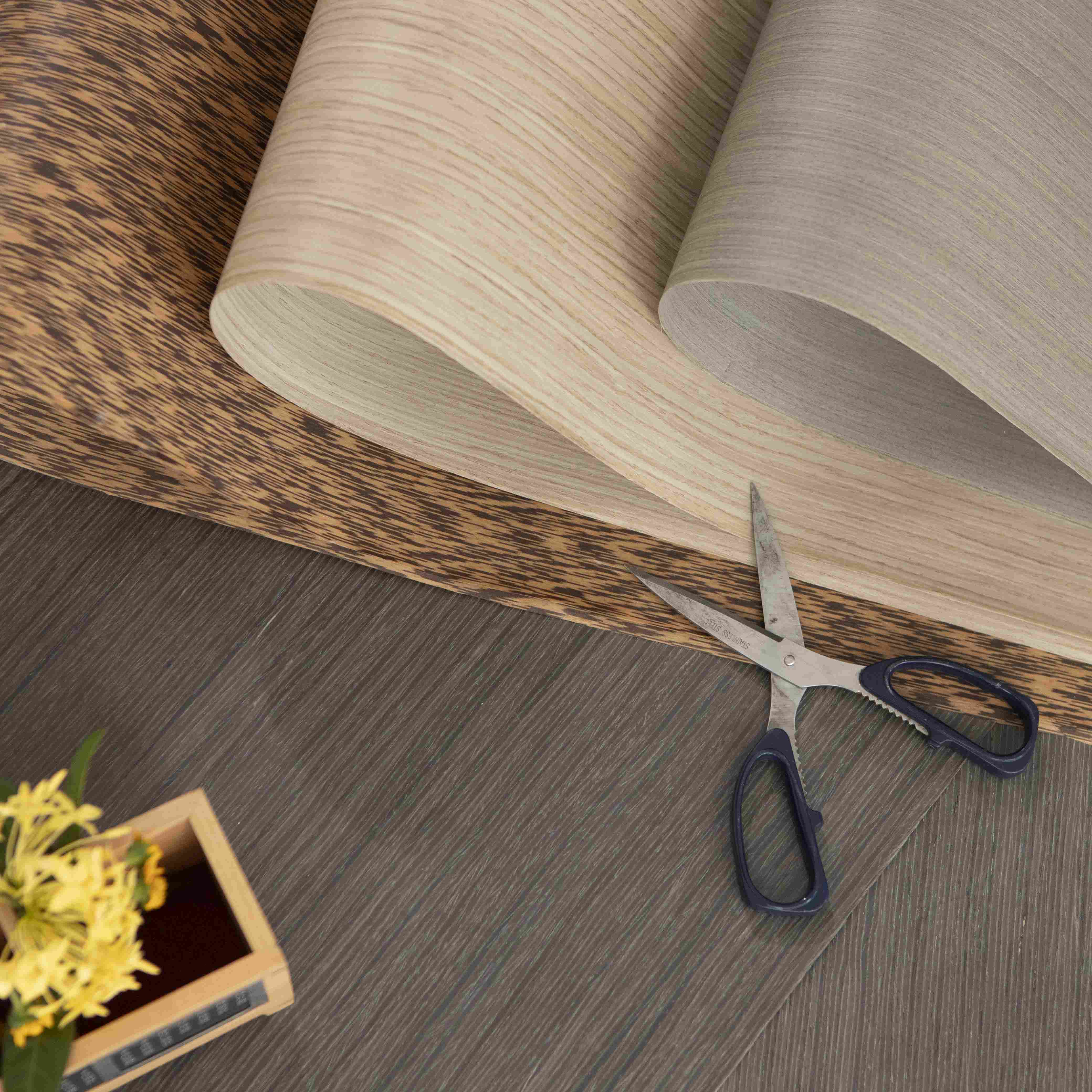 �ұ�����ץľƤ