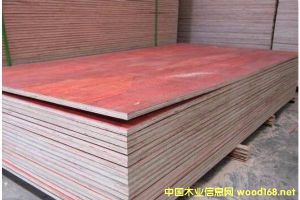 ����ģ��