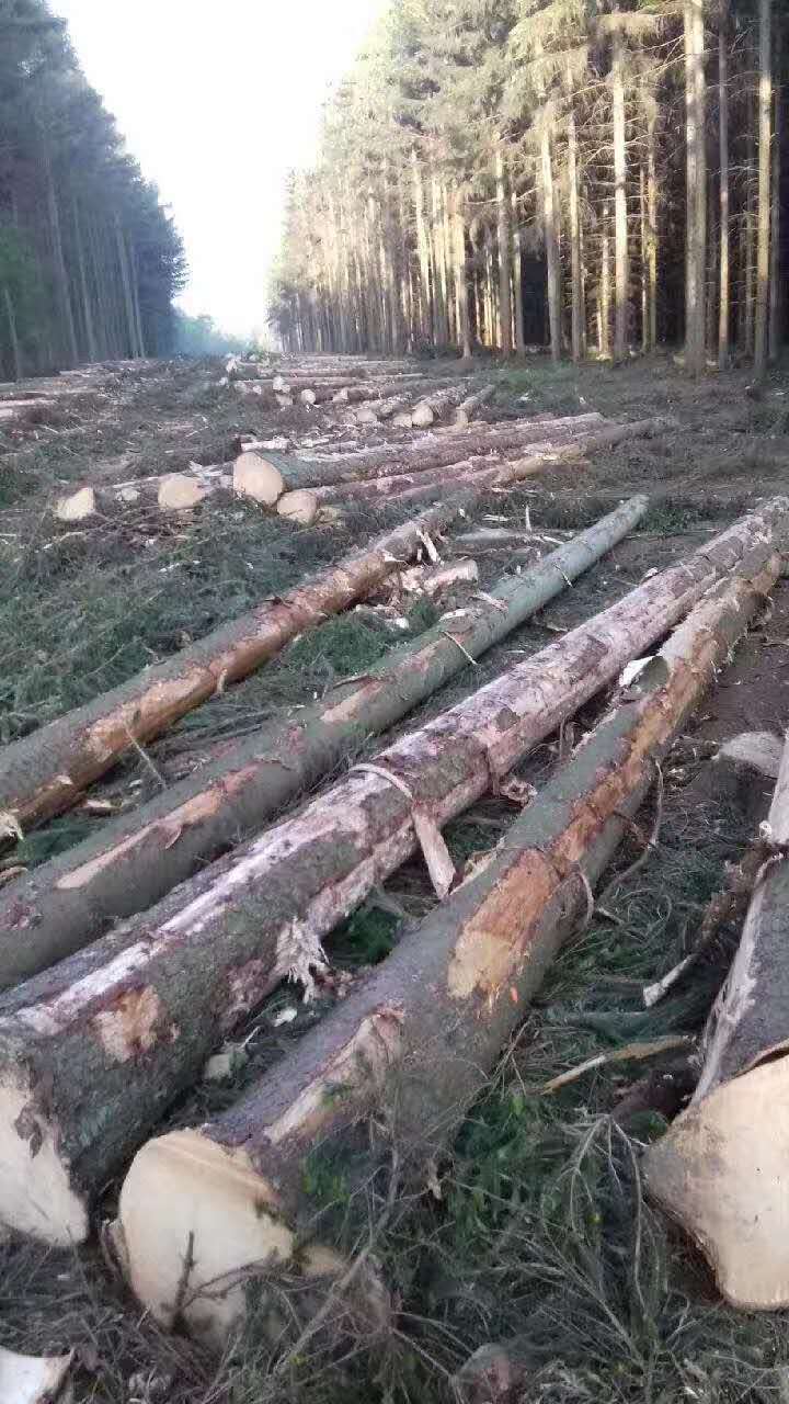 [��] ����ɼԭľ��؛