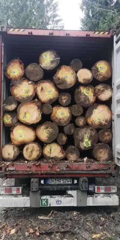 [��] ����ɼԭľ��؛