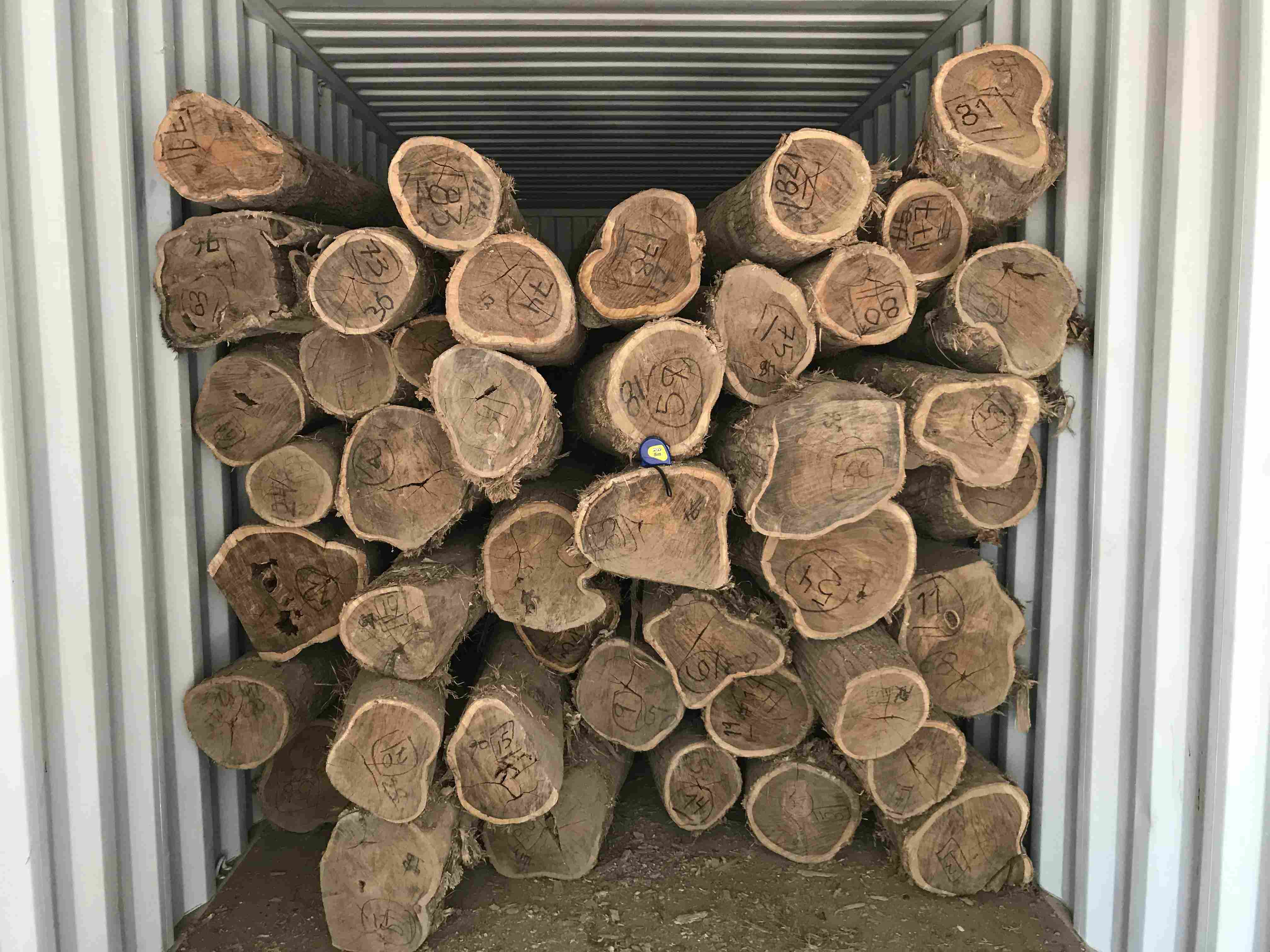 ī�����S��̴��Ԕ����B