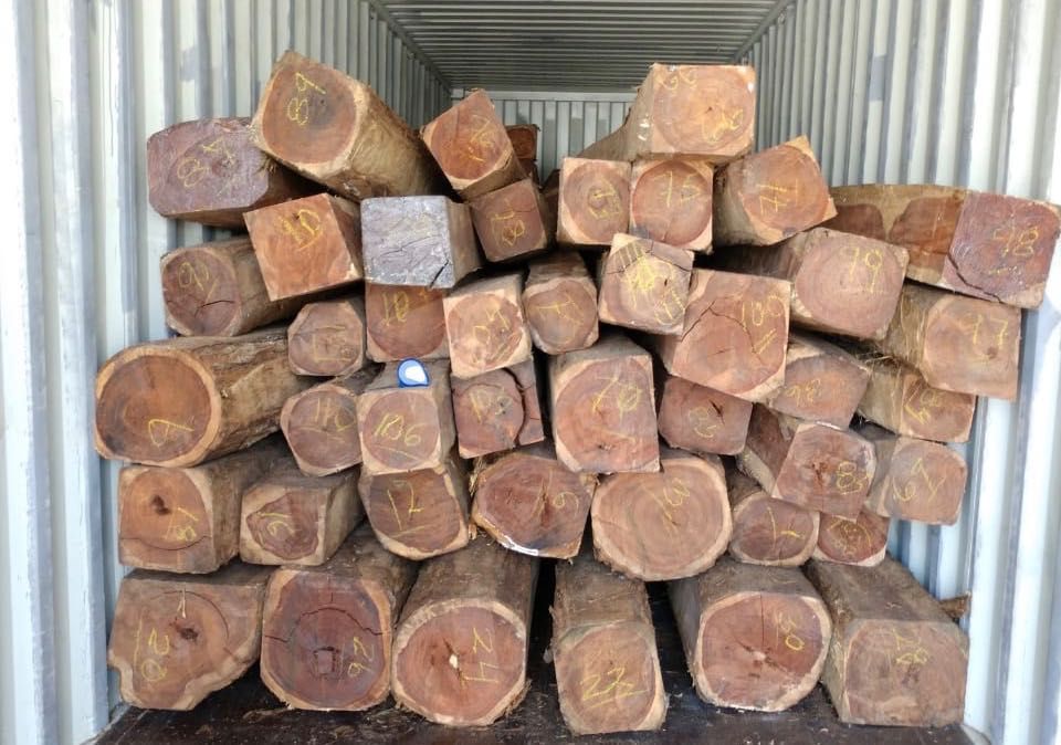 ����֦(韱ⶹ)��Ԕ����B