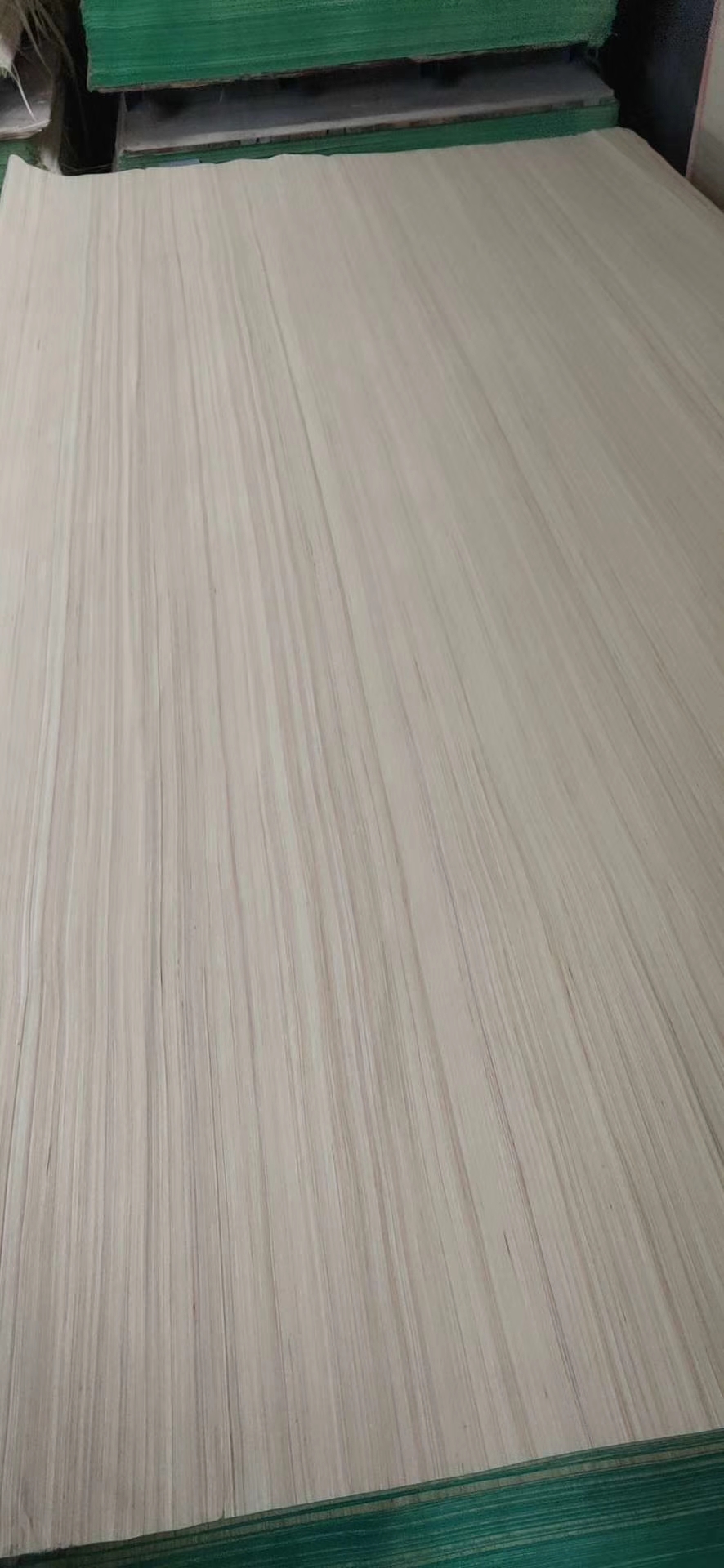 ���ή�������L�w�S�Ƽ�ľƤ