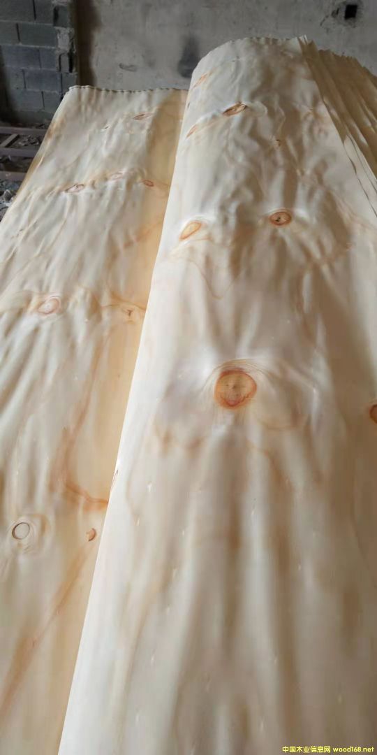  ݗ���ɵ�Ԕ����B