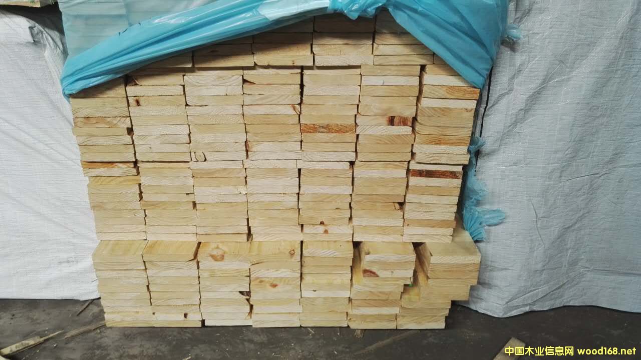 [��] ����؛��Panpacݗ���ɼҾ߼����ҾߏS���x��