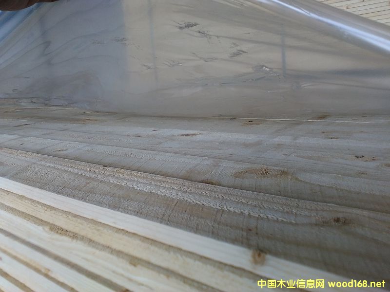 ARAUCO�Ҿ߼�(j��)