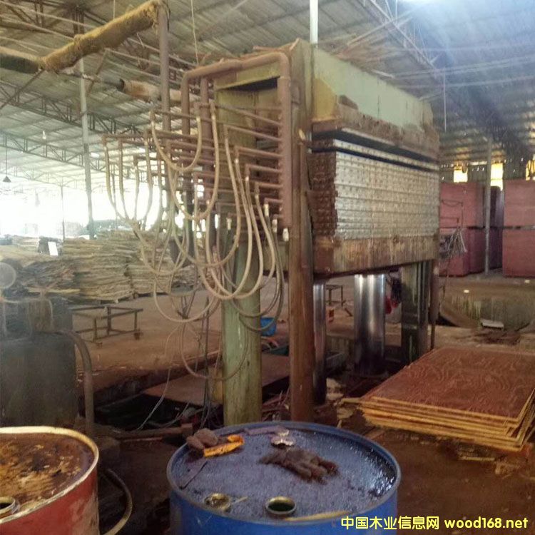 �����݄�������ʮ��Ӷ���ľ���ቺ�C�DƬ