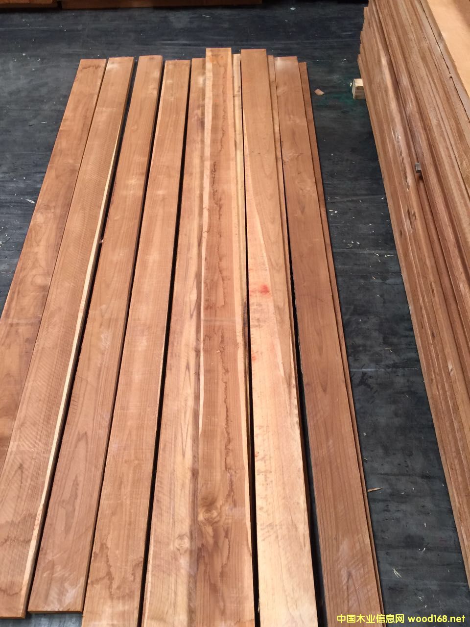 [��] �Nֲ��ľ��ģ��ذ���