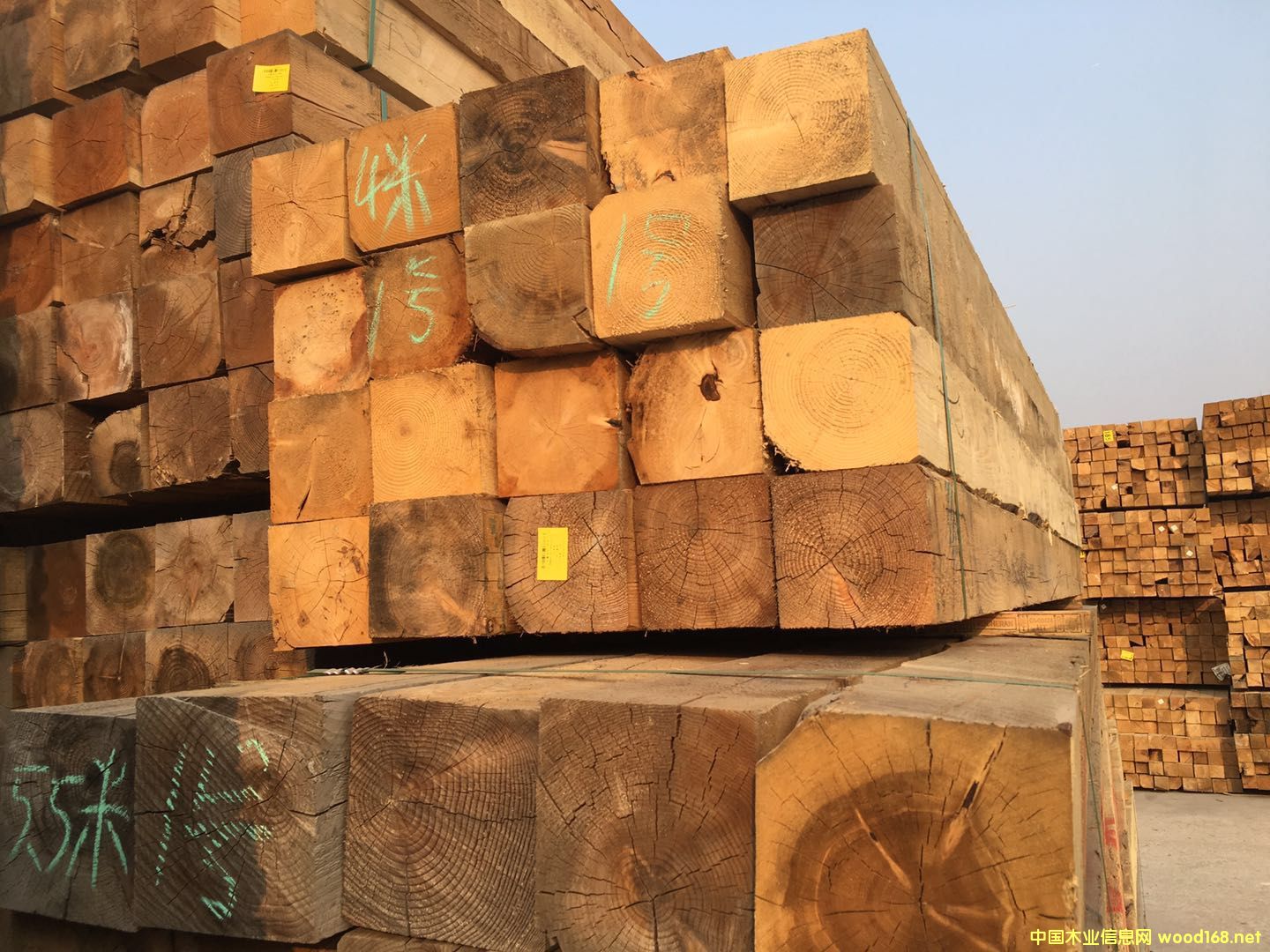 �Fɼ����203*203