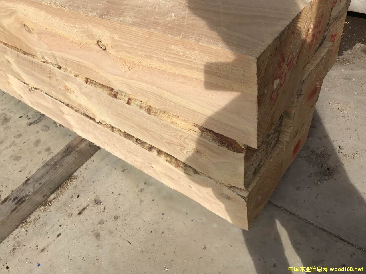 �����mݗ���ɹ��I��ľ��