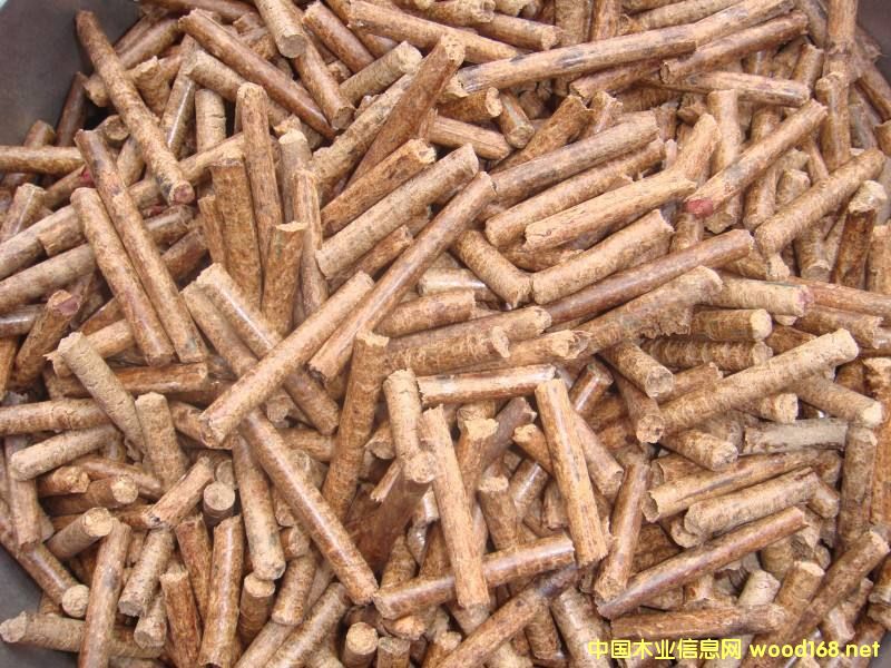 �����������|�w��