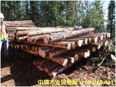 ݗ����ԭľ��Ԕ����B