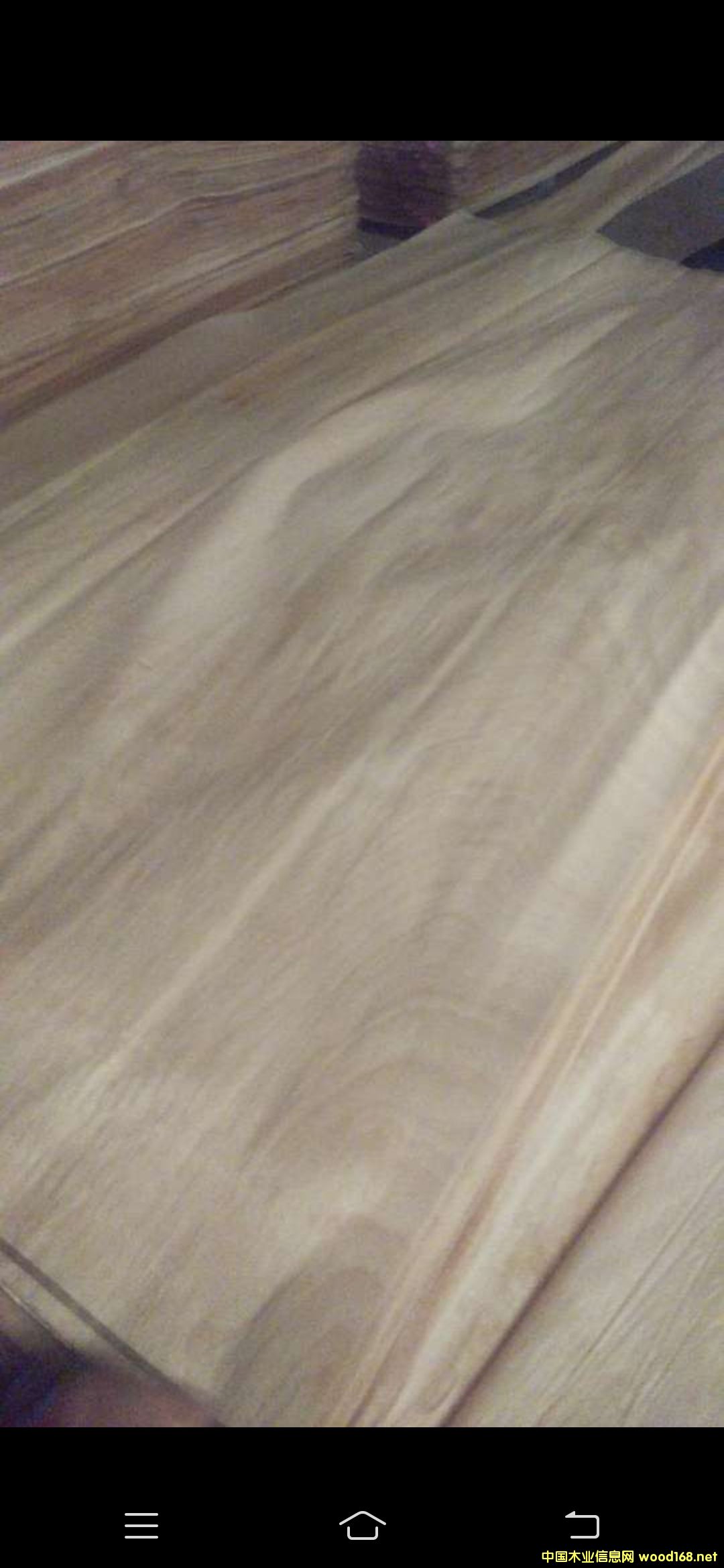 �t�ϙ��Ԕ��(x��)��B