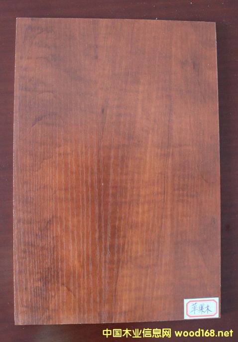 ���B(t��i)��-�O��ľ��Ԕ��(x��)��B