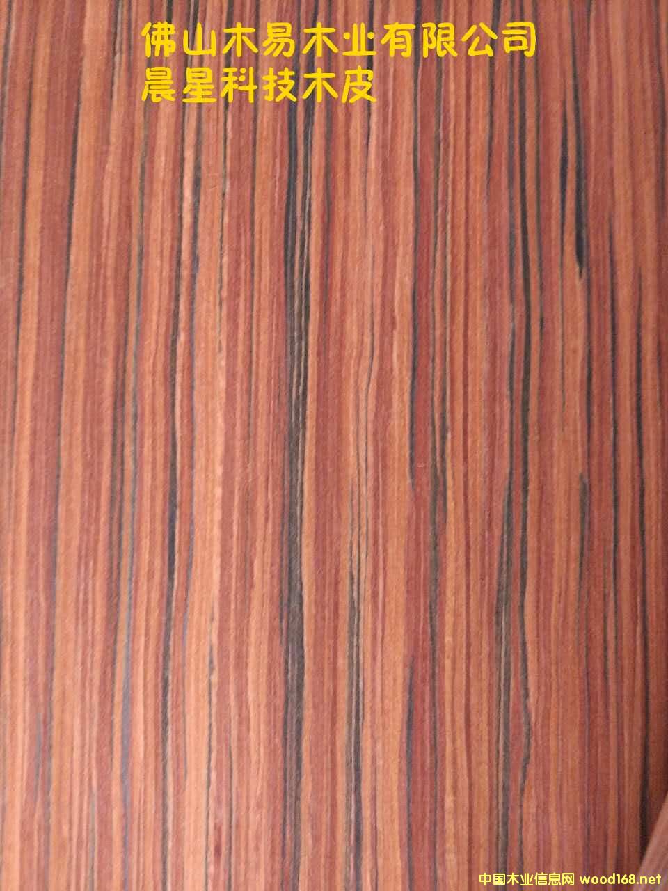 ��֦S��Ԕ��(x��)��B