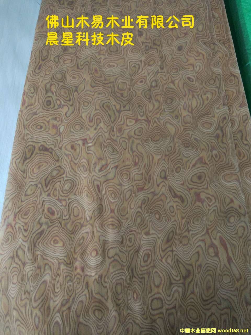 ���Ҙ����Ԕ��(x��)��B