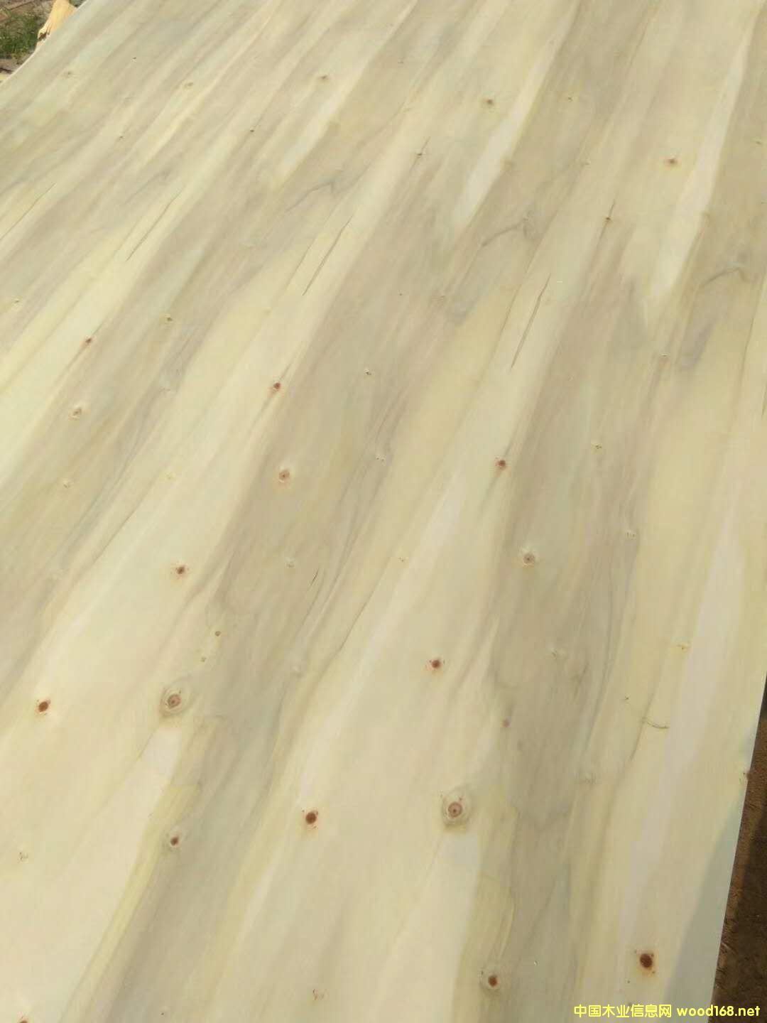 ��ľԭɫ��Ԕ����B