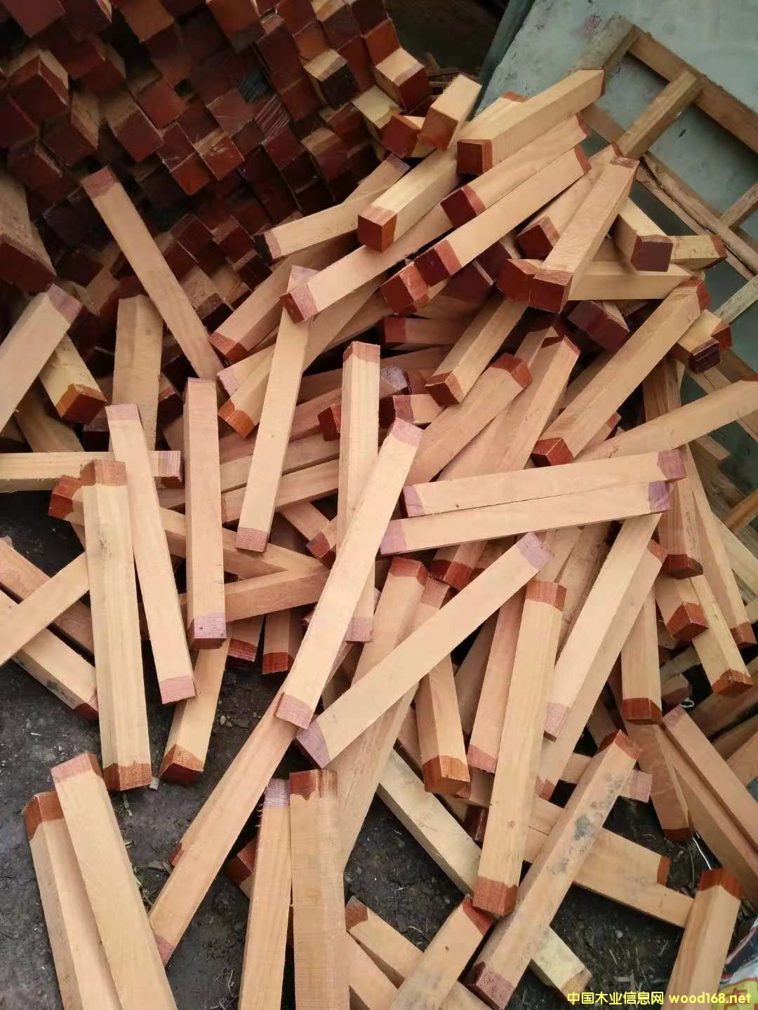 ɳ���������ϵ�Ԕ����B