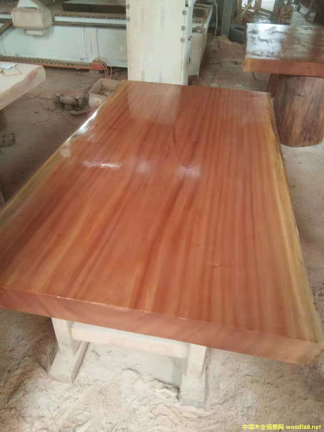 ɳ����������